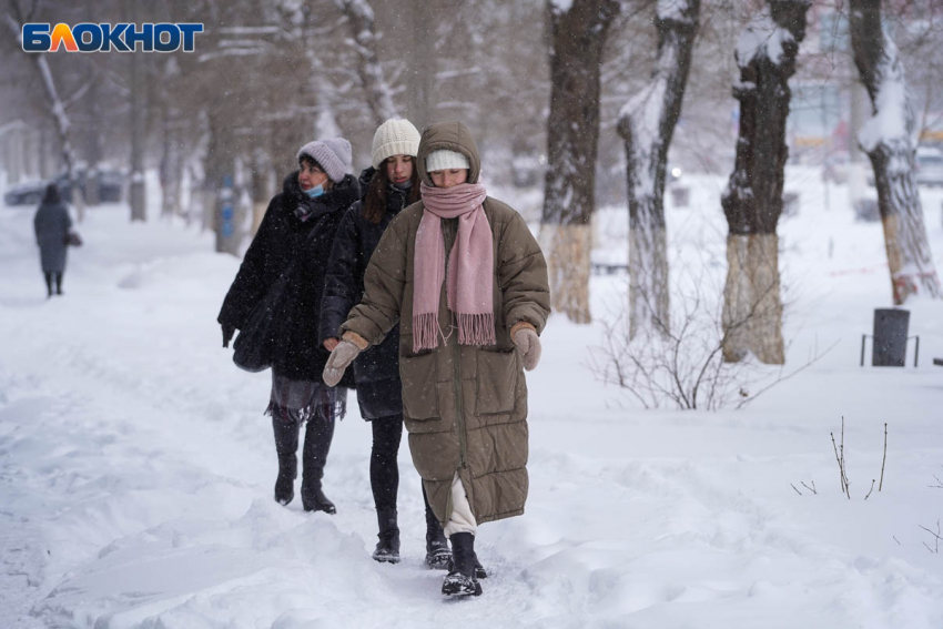Метель и мороз до -11 градусов накроют Волгоградскую область 10 февраля