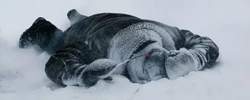 Под Волгоградом на трассе насмерть замерз шашлычник из кафе 