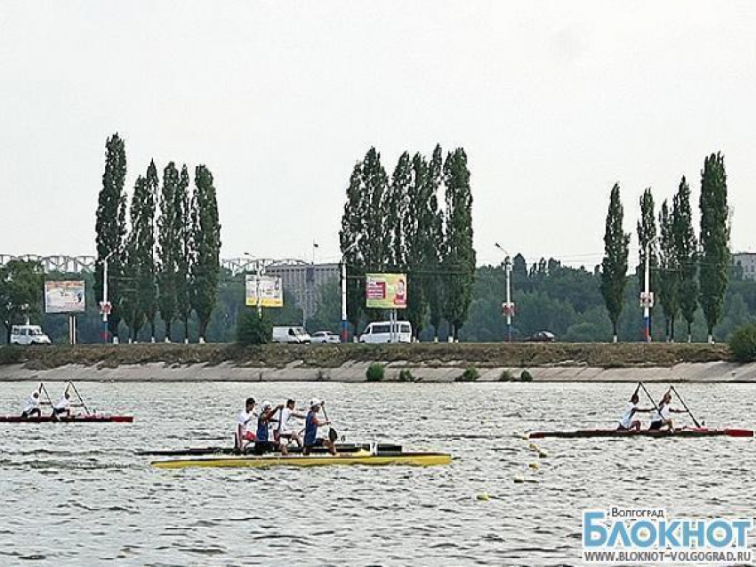 Волгоградка Надежда Зубарева триумфально выступила в Воронеже