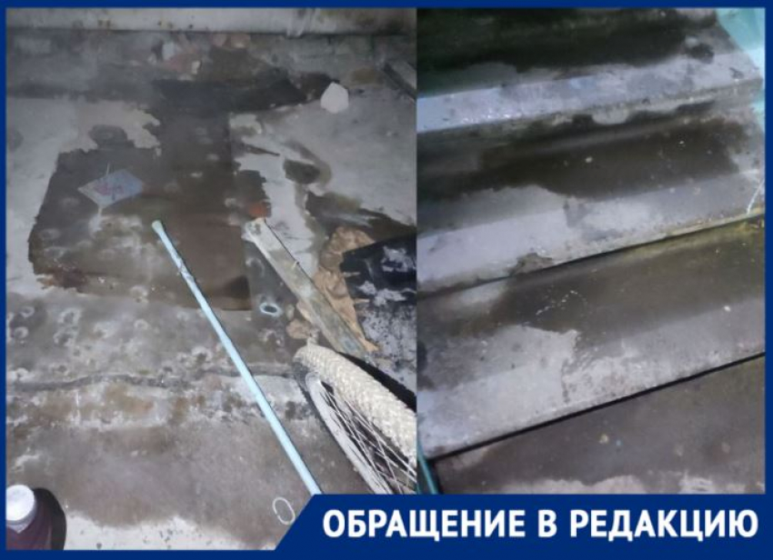 Разбухают полы, нечем дышать, отваливаются обои: отопительный сезон «убивает» волгоградские МКД