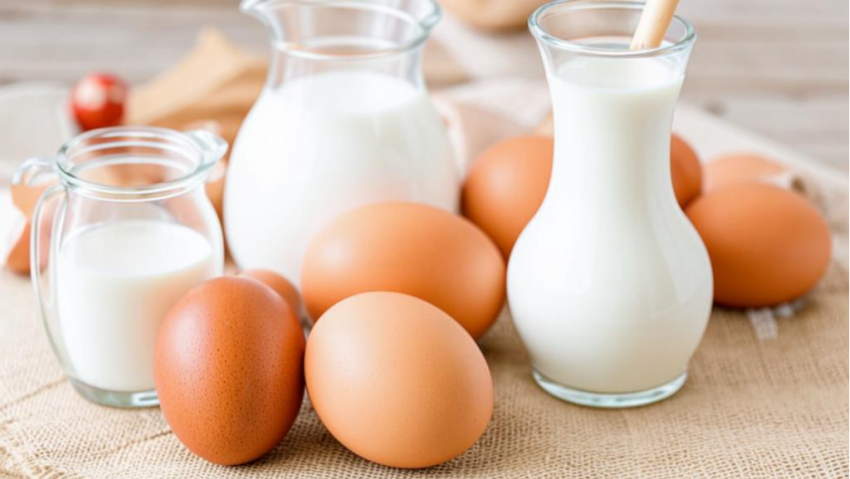 В Волгоградской области набирает обороты производство молока и яиц