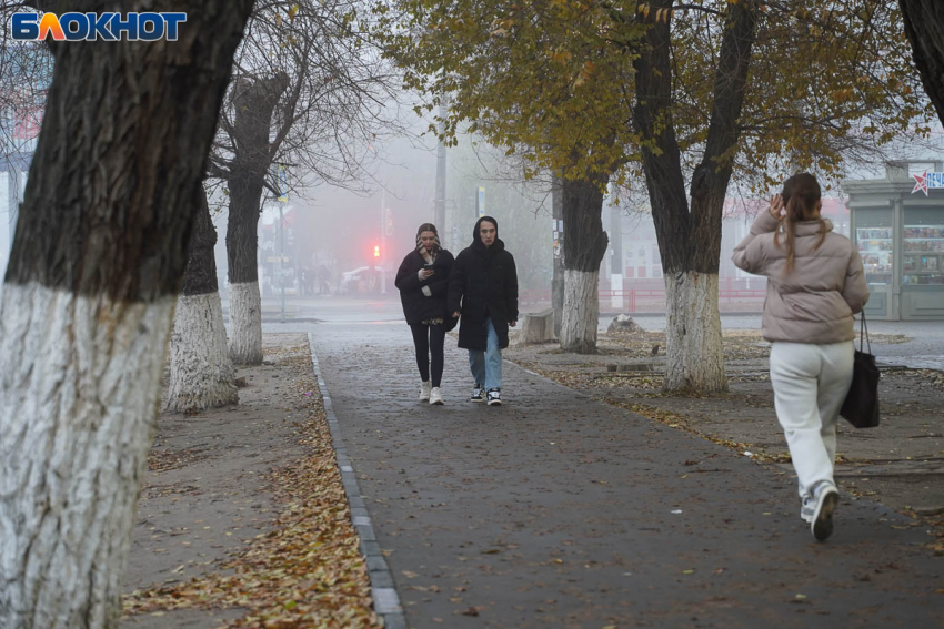 Облачно с прояснением и без осадков: погода в Волгограде на 25 ноября