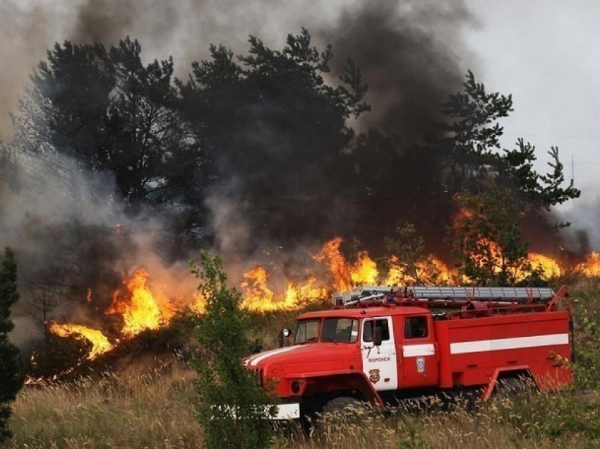 МЧС предупреждает жителей Волгоградской области о чрезвычайной пожароопасности