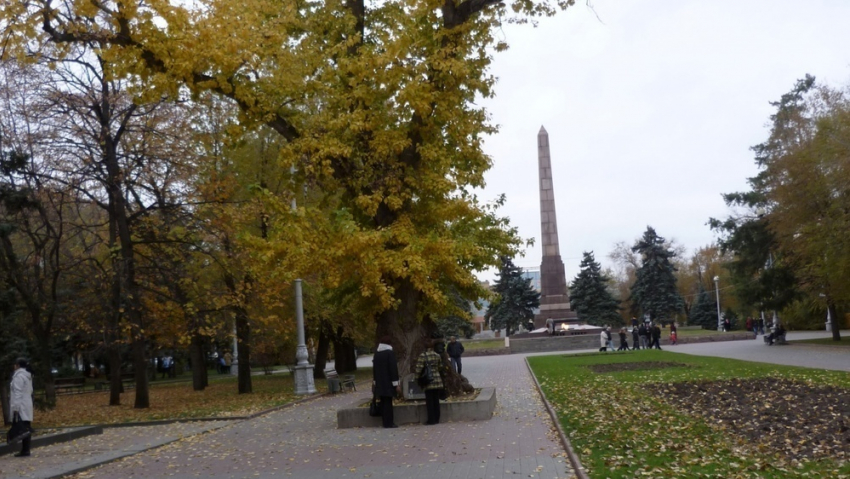 В Волгограде высадили клонированный Сталинградский тополь
