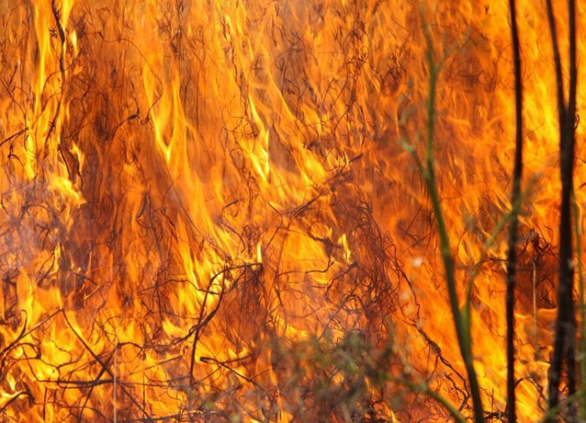 О массовых пожарах по всей Волгоградской области заявили в МЧС 