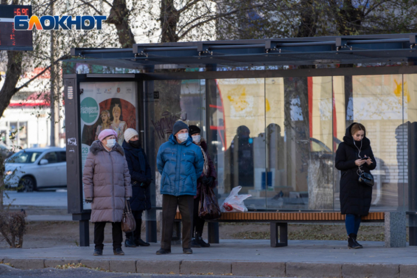 В Волгограде обсуждают бесплатный проезд на транспорте для детей 