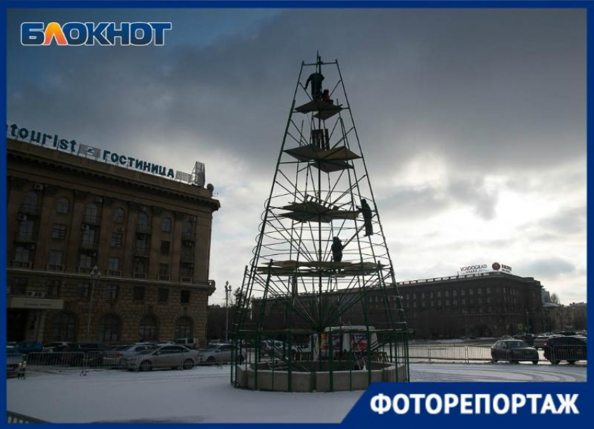 Монтаж новогодней ели начался на площади Павших борцов в Волгограде