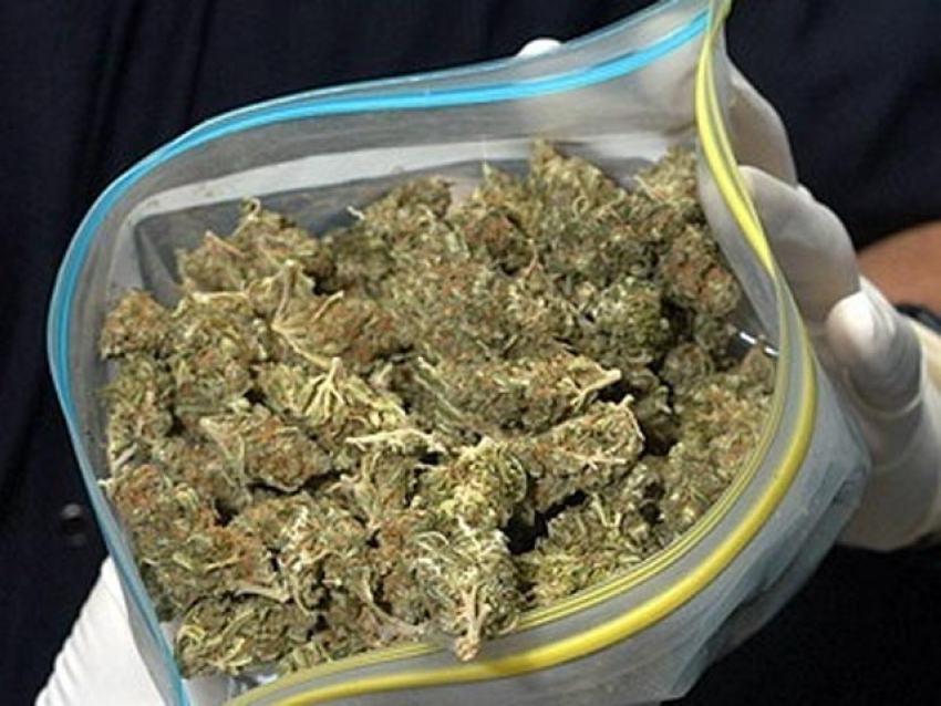 Под Волгоградом 49-летний мужчина хранил дома почти 1,5 килограмма марихуаны