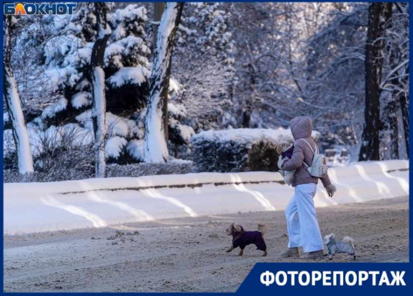 «Настоящая зима!»: утро завораживающей красоты наступило для волгоградцев 