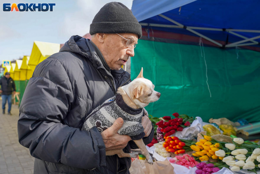 Геомагнитные всплески и тепло до +10 градусов: все о погоде в Волгограде 