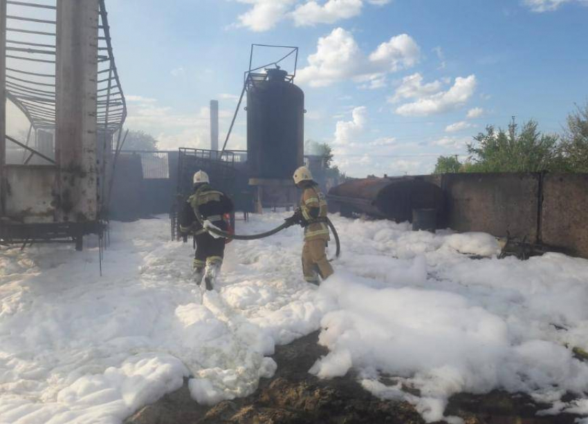 Сгоревшие на юге Волгограда нефтепродукты загрязнили более тысячи кв. метров земли