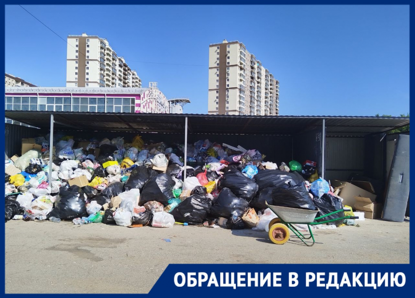 Заложниками мусорного коллапса стали жители улицы Морозова в Волгограде 