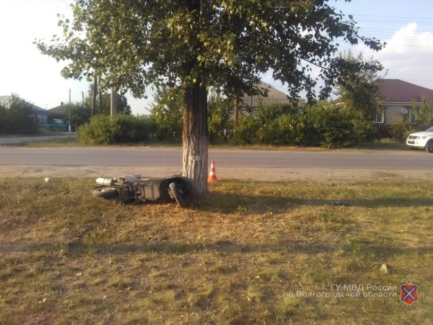 В Волгоградской области водитель скутера скончался, врезавшись в дерево