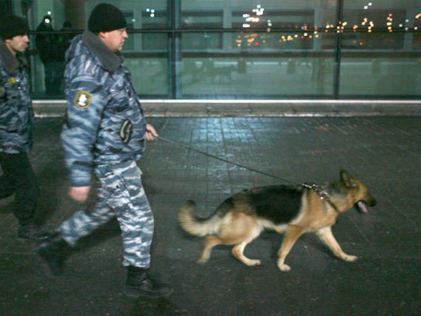Посетителей волгоградского торгового центра эвакуировали из-за подозрительного рюкзака