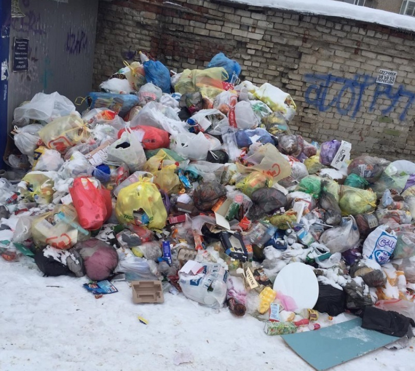 Волгоградцы показали на видео двор, в котором мусор последний раз вывозили в прошлом году