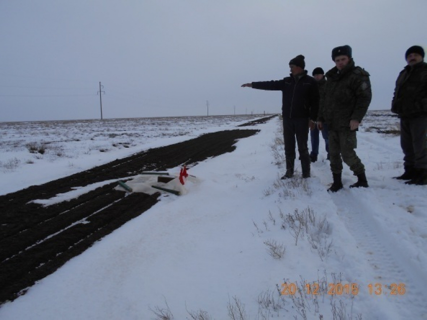 Под Волгоградом 37-летний мужчина верхом на лошади пытался пересечь границу 