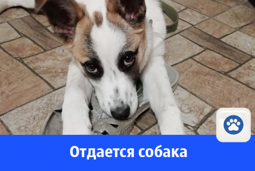 Кому 12,5 кг счастья?