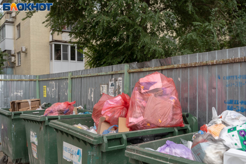 Мэрия Волгограда заказала очистку 14 улиц от мусора на 2 млн руб 
