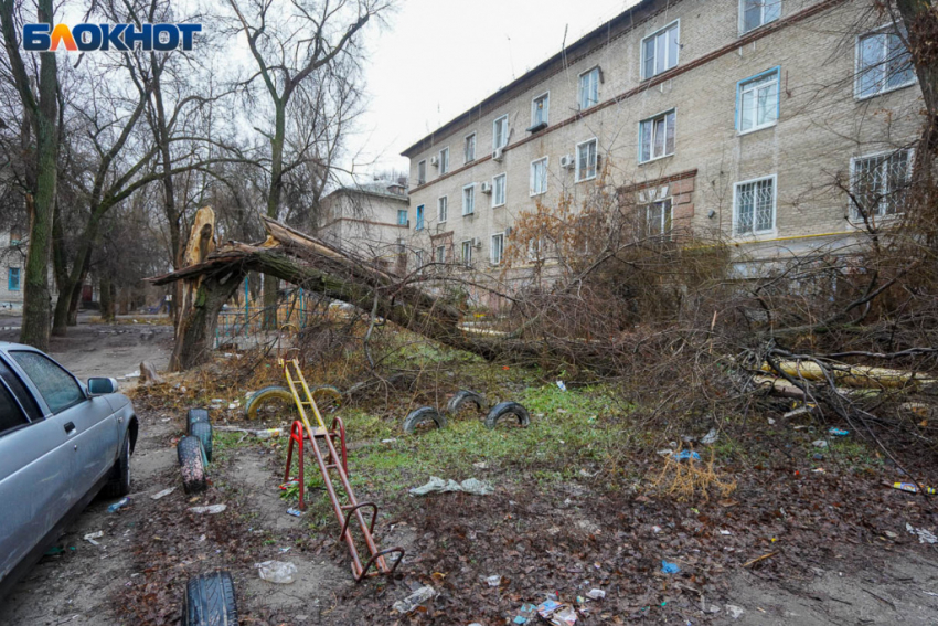 Волгоградцев спасают от беспредела УК: куда обращаться