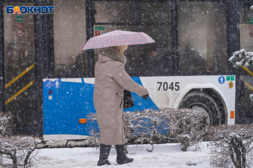 Снежная стихия обрушится на Волгоградскую область
