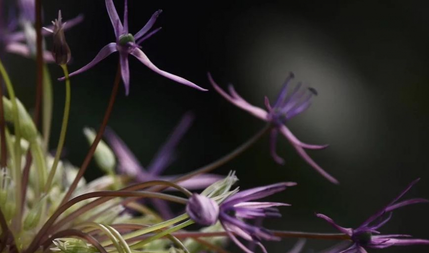 В первый день апреля в Волгограде похолодает