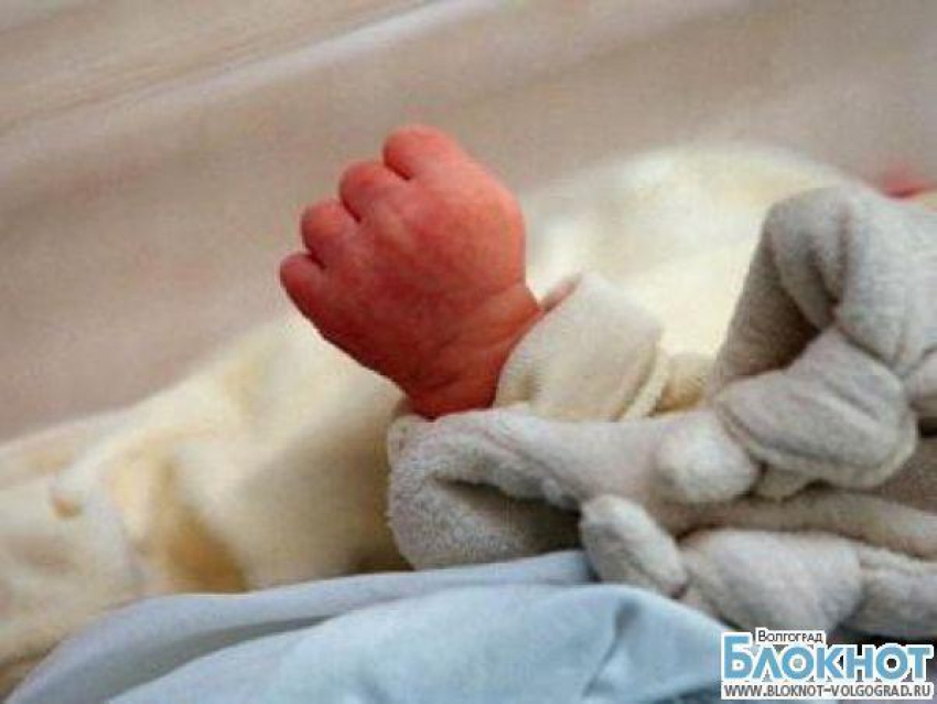 Избиение младенца в Волгограде