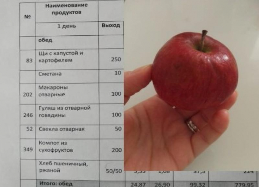 Требуют 1500 рублей предоплаты и скрывают стоимость обедов: родители школы в Волгоградской области 