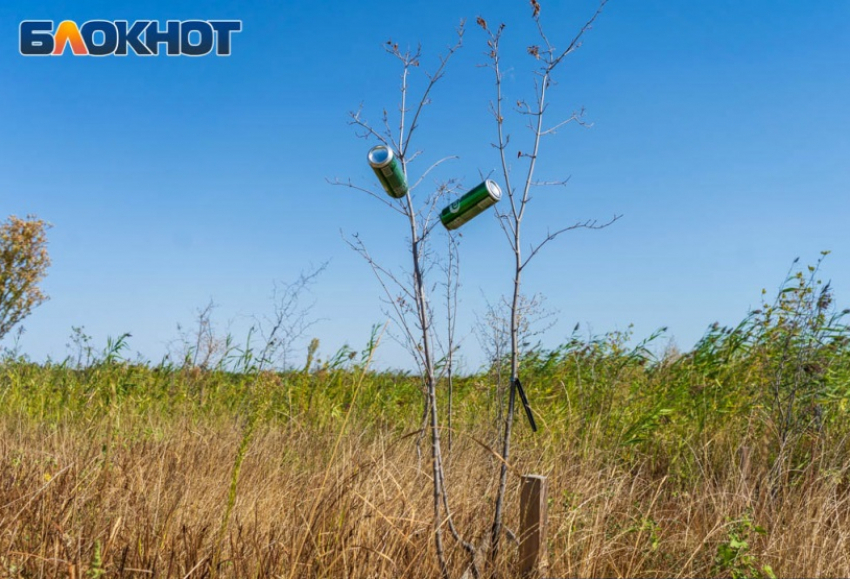 Алкоголь запретят продавать в первый день осени в Волгограде