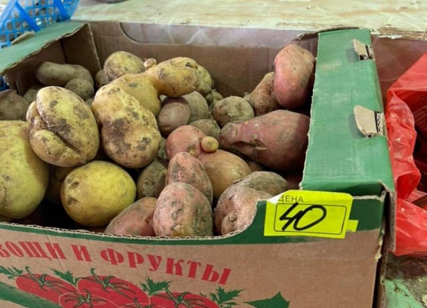 В Волгограде выстроились огромные очереди за картошкой 