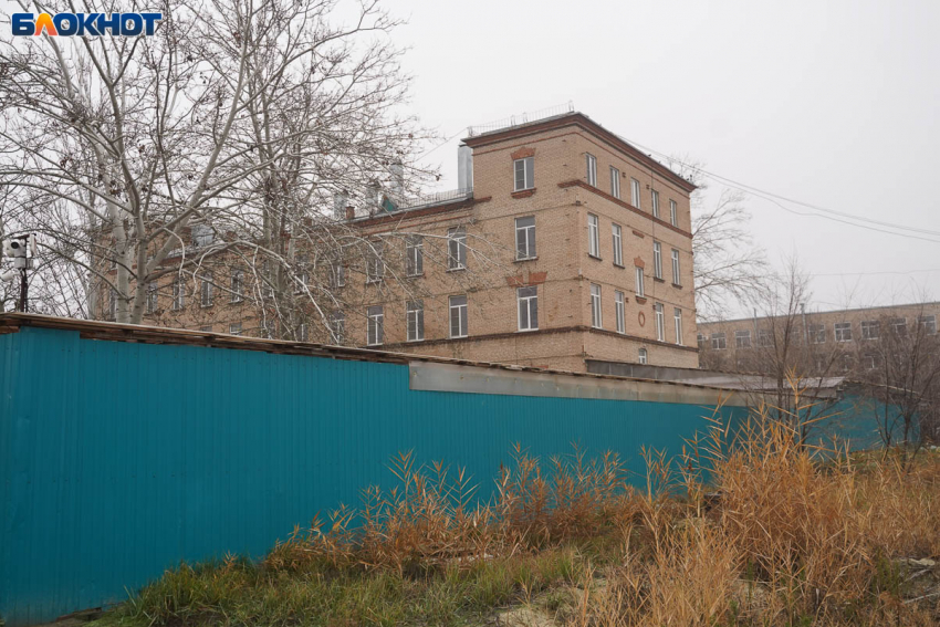 Очередные щенки-подкидыши в Волгограде довели волонтеров до слез