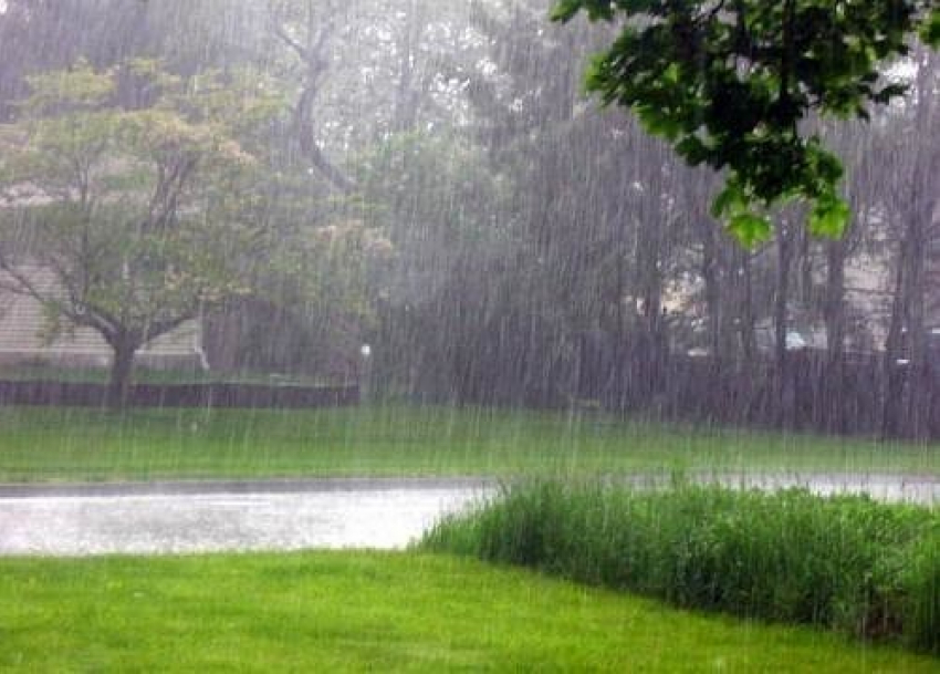 В Волгограде три дня будут идти дожди