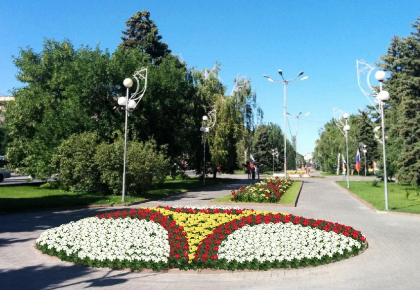  За три миллиона рублей к маю расцветет центр Волгограда