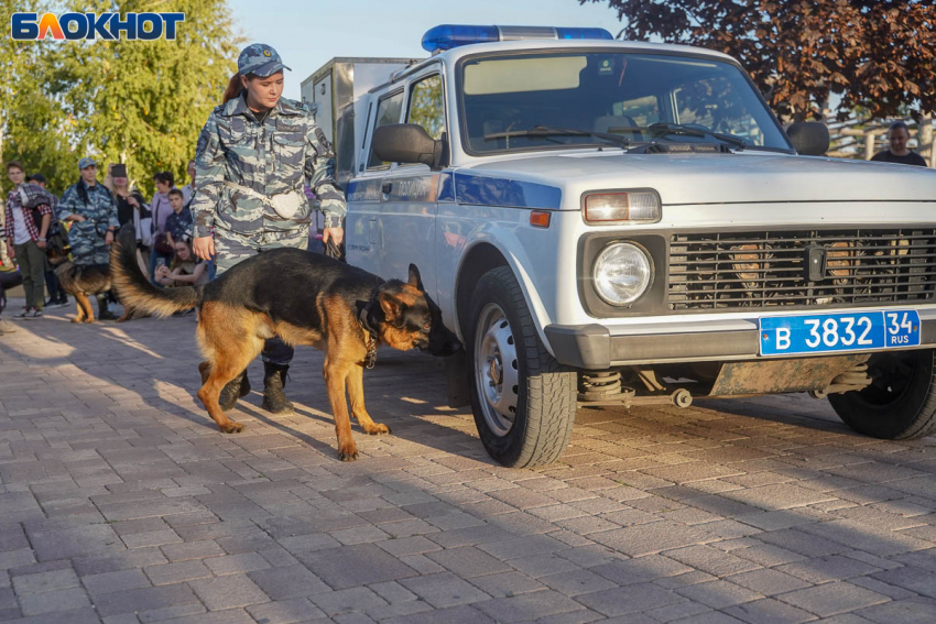 Разминирование в процессе: новые подробности атаки ВСУ на Волгоград