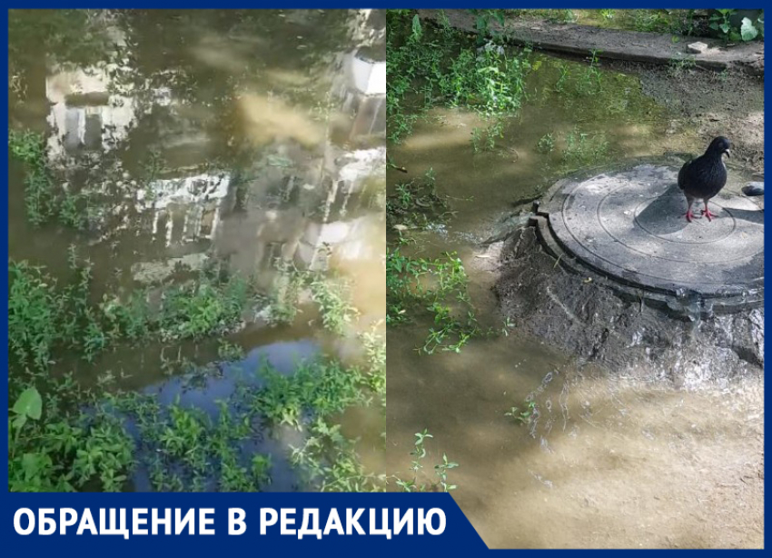 Фонтанирует канализация: во дворе многоэтажки в Волгограде образовался «пруд» 