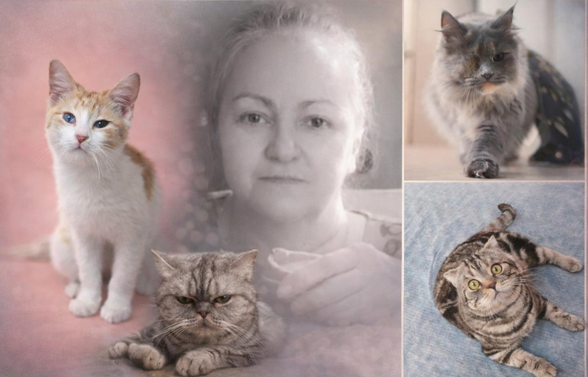 Умерла хозяйка приюта со 170 кошками в Волгограде