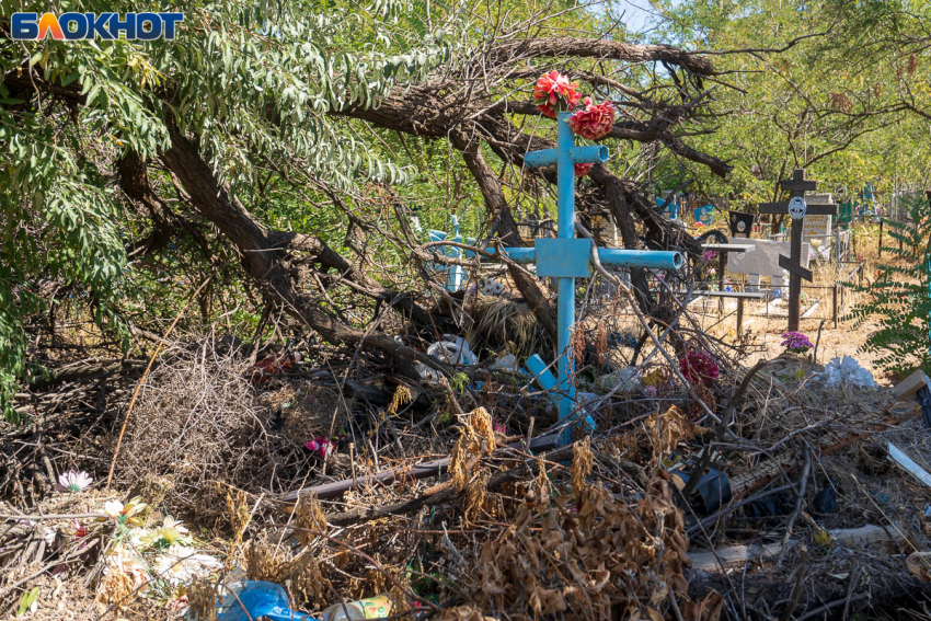 Названа самая распространенная причина смертей волгоградцев 