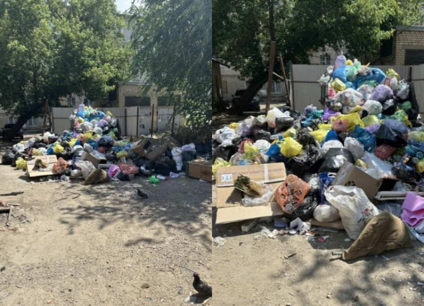 Вывоз мусора по заявкам возмутил жителей Волгограда