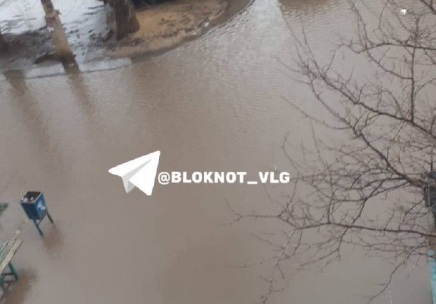 Бесплатный бассейн на открытом воздухе появился в Волгограде 