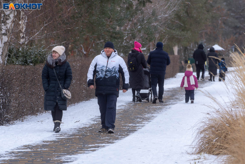 Погода в Волгограде на 30 января: облачно, туман и гололедица