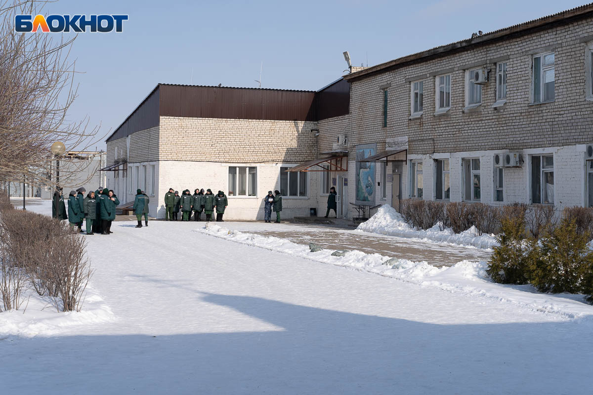 Массовая болезнь атаковала осужденных женщин накануне 8 Марта под  Волгоградом