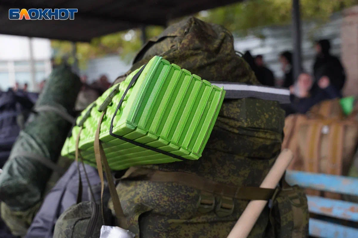 Житель Волгоградской области избил таролога после предсказания об отсрочке  в зону СВО