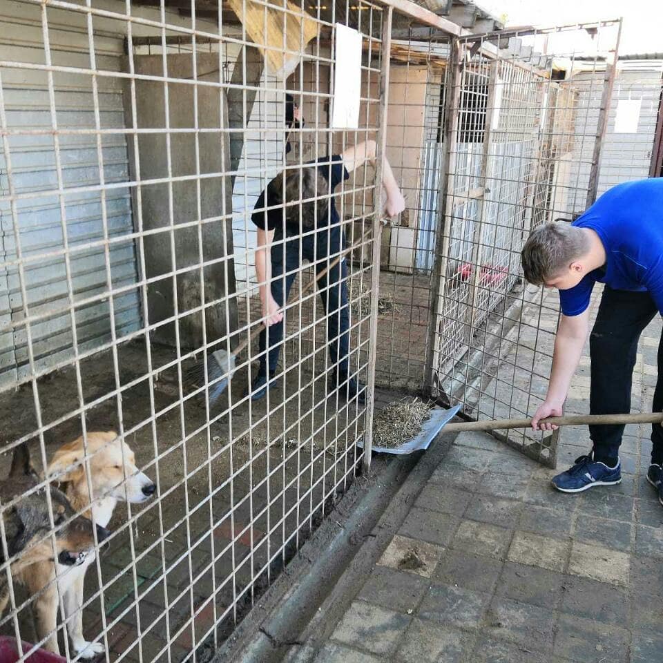 Волгоградские школьники спасали мир от равнодушия