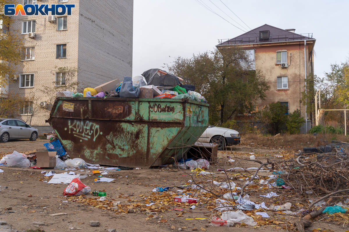 Картельный сговор заметил УФАС в причинах появления 