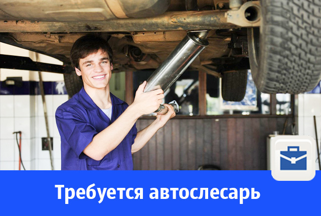 Резюме механика по транспорту образец. Мастер-приемщик автосервиса. Вакансии автослесаря в москве от прямых работодателей. Вакансии автослесаря в москве от прямых работодателей. Актуальность профессии автомеханик.