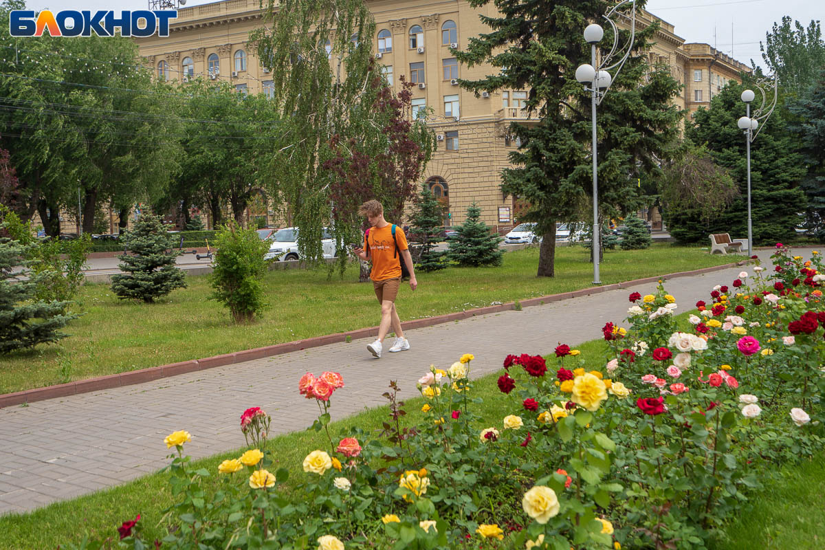 Грозы с ветром обещают синоптики в Волгоградской области