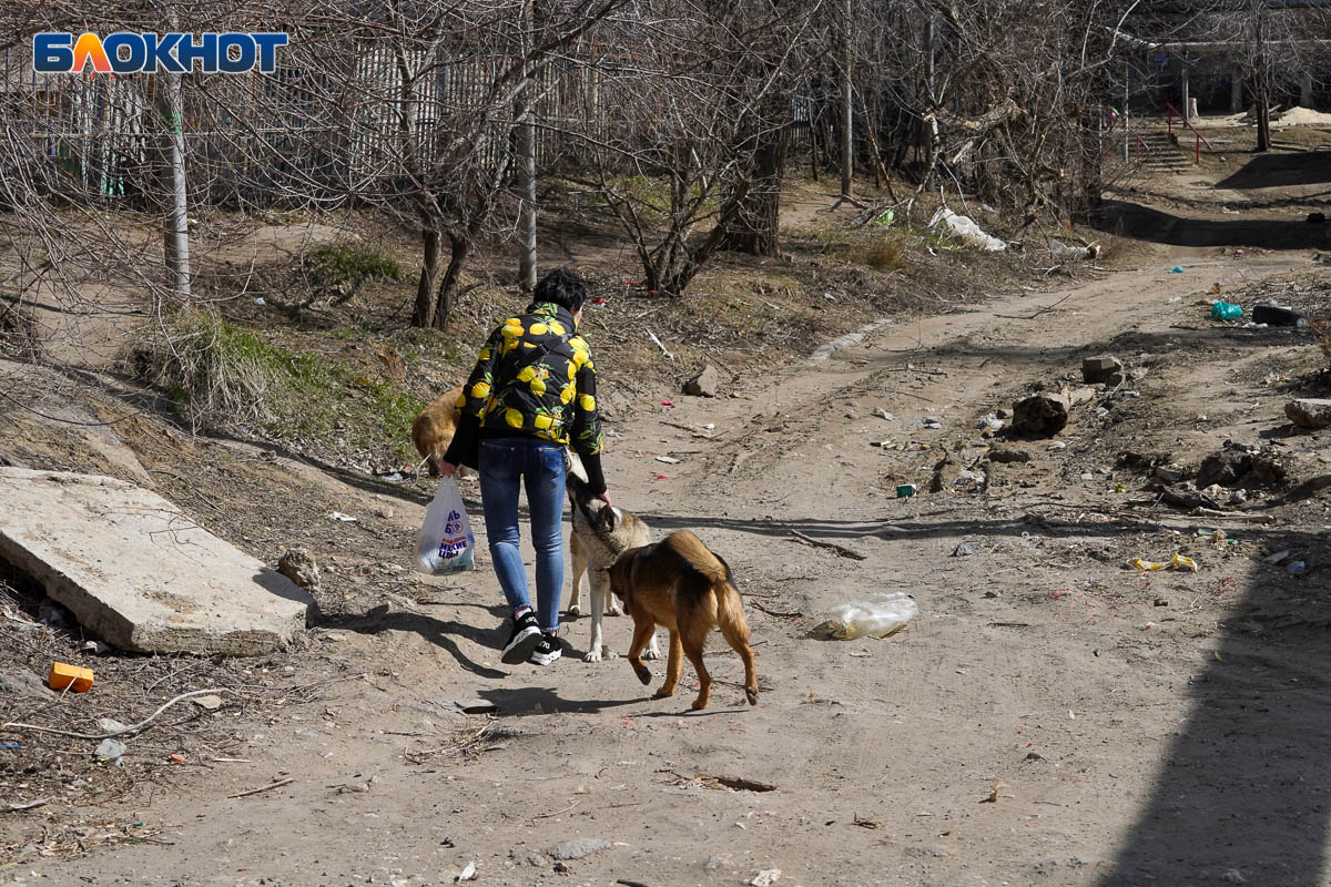 Многодетным в Волгоградской области бесплатно выделили более 30 га земли за  городом