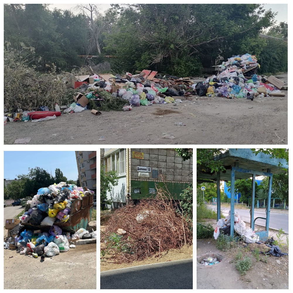 Антисанитария в жару процветает в Волгограде