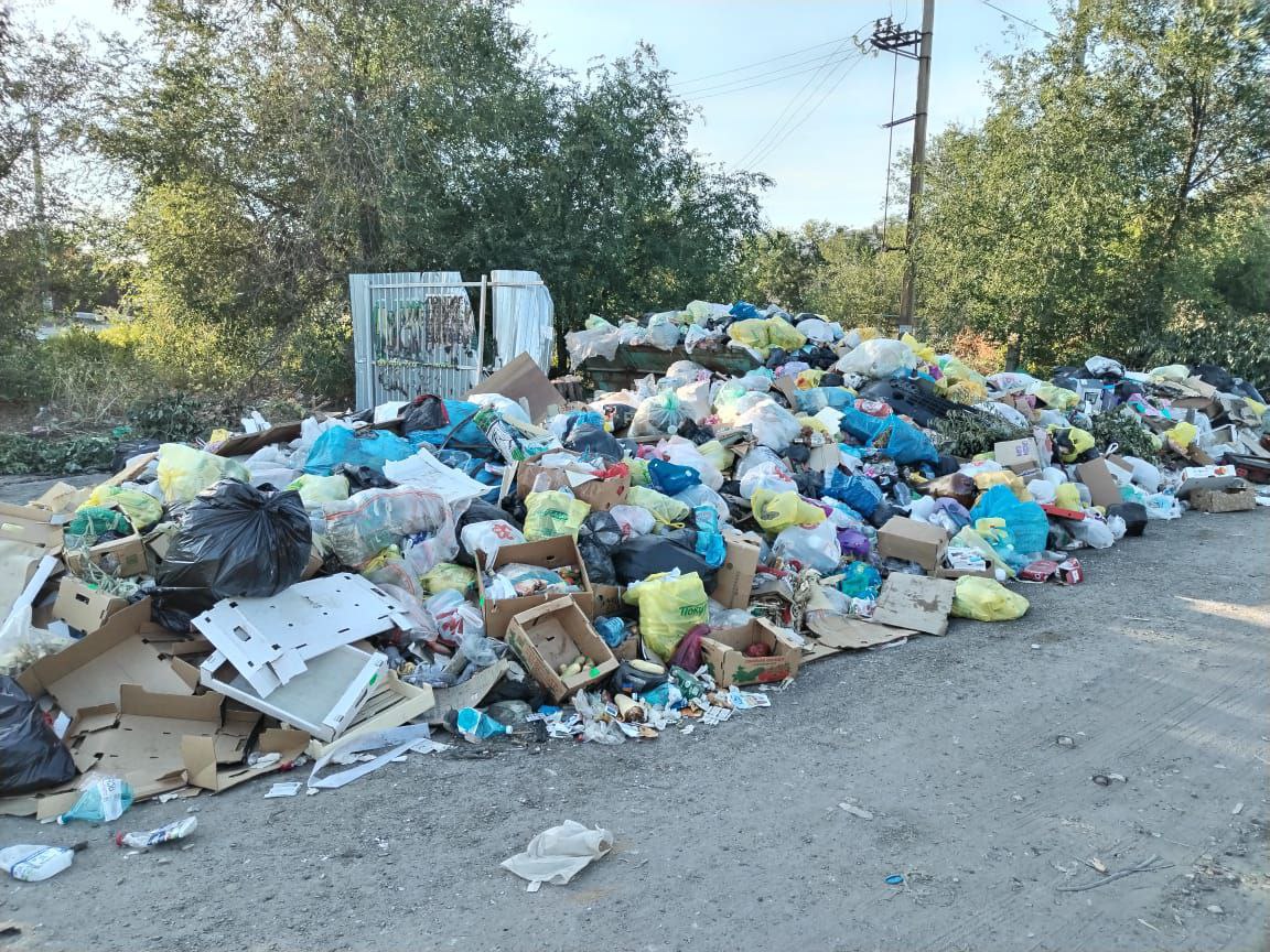 Даже смотреть страшно: район-рекордсмен по свалкам назвали волгоградцы