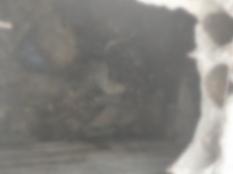 imgonline-com-ua-Blur-7gXbt5yQ7QhWeJJW.jpg