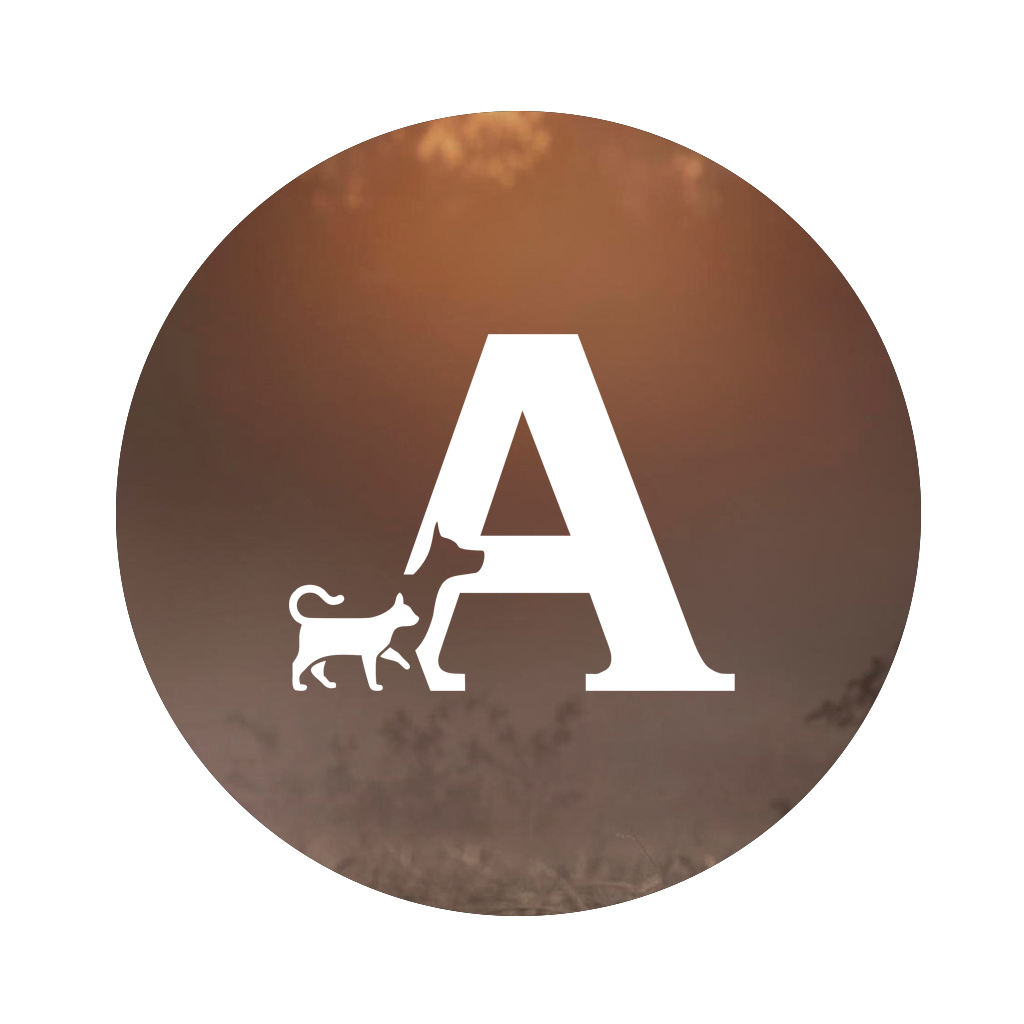 логотип конт.jpg